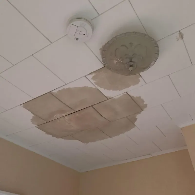 Ceiling Water Damage Repair in Henry County, IN
