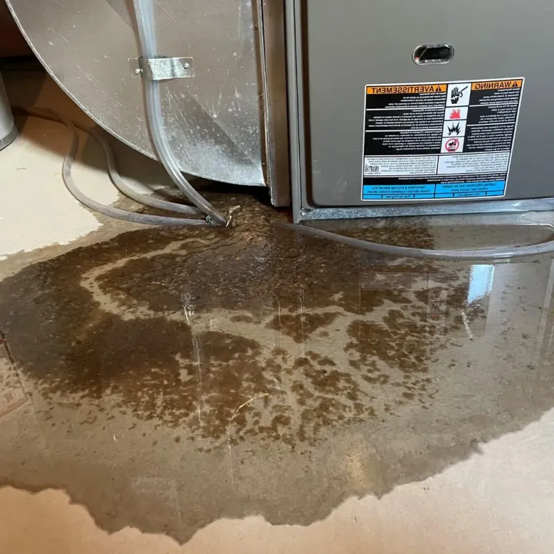 Pipe Burst and Leak Restoration in Henry County, IN